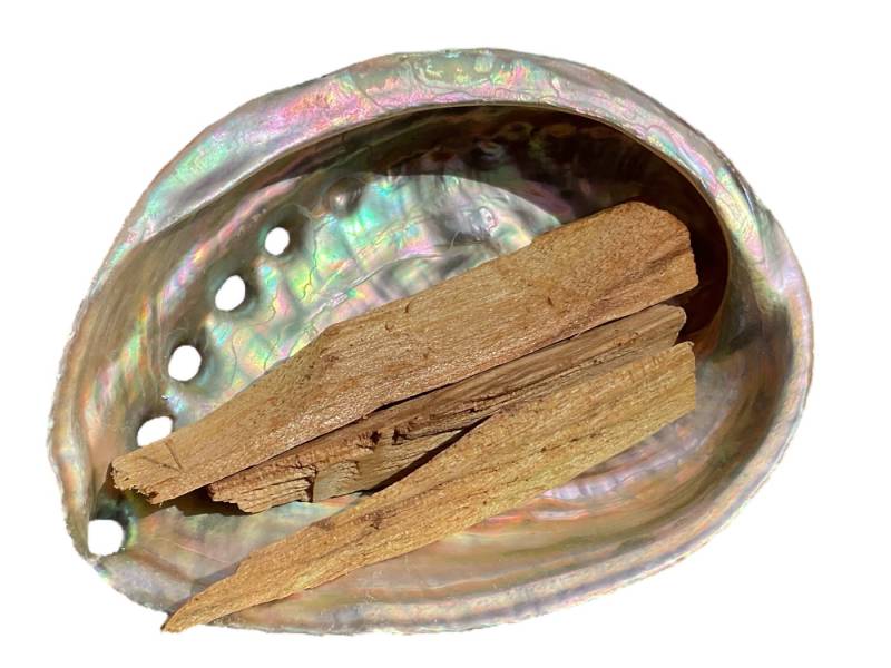 Steinfixx® Dekoschale Abalone Paua Muschel I Räucherset mit Palo Santo Holz (100 % echt aus Mexiko, 1 St., Räucherschale I heiliges Holz), 100x70x15 mm von Steinfixx®