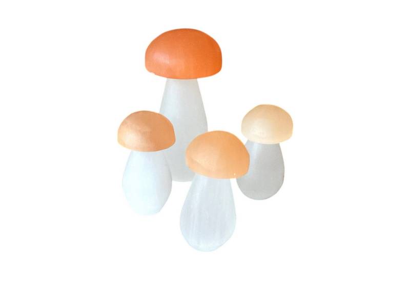 Steinfixx® Edelstein Selenit Pilze I Einzeln oder als Sparset I Handarbeit aus Marokko, (Spar-Set, 1-St., Lichtbringer), Dekoration I Feengarten I Pilz von Steinfixx®