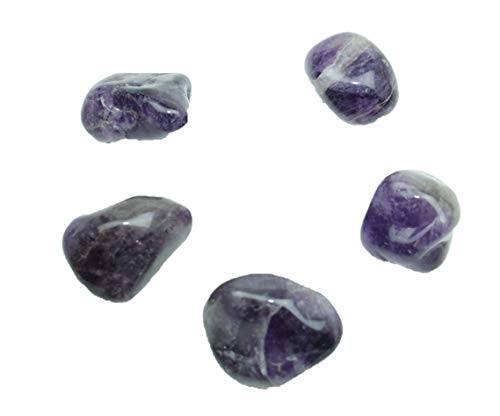 Amethyst I Trommelstein I Edelstein I Heilstein I Glücksstein I Chakra-Stein (4 Stück) von Steinfixx
