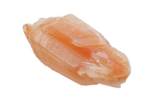 Steinfixx Korallen Calcit Edelstein I Heilstein I Rohstein I Wasserstein I Mexiko (10-20gr) von Steinfixx