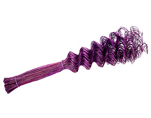 Twisted Willow, 50 cm Bund 80 Stiele, azalee Twisted Willow, 50 cm Bund 80 Stiele, azalee von Steingaesser