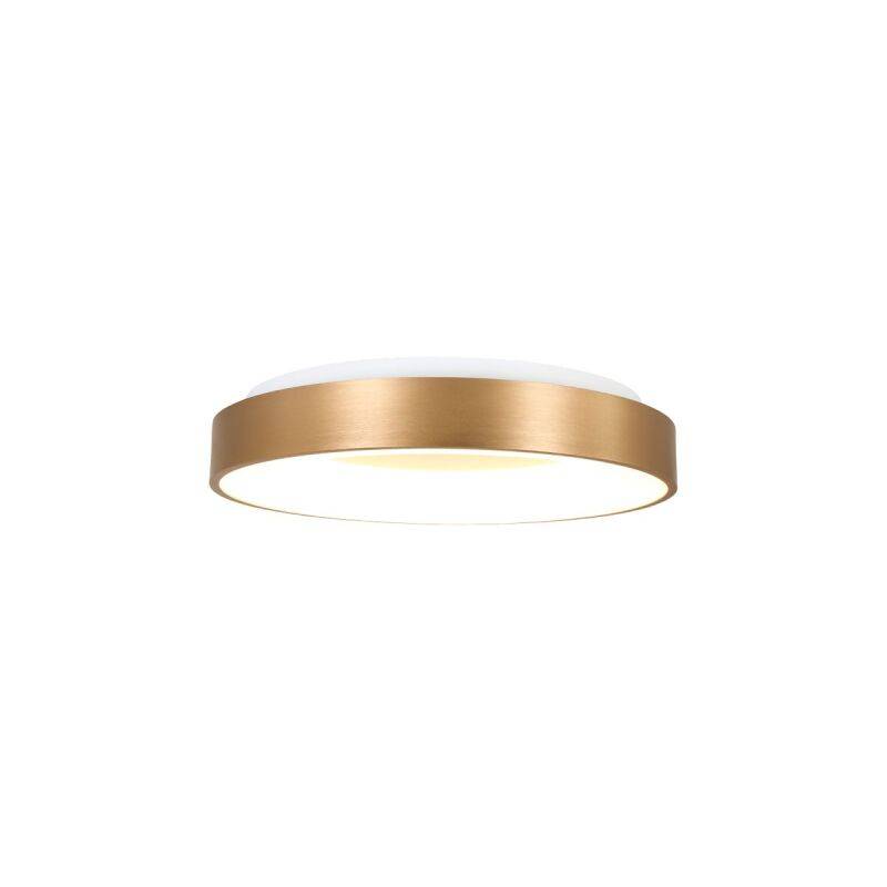 Steinhauer Ringlede 30 gold Deckenleuchte LED von Steinhauer Lighting