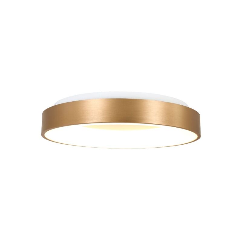 Steinhauer Ringlede 38 gold Deckenleuchte LED von Steinhauer Lighting