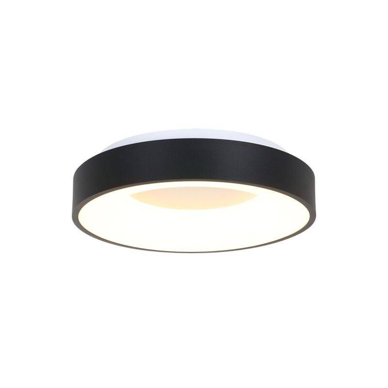 Steinhauer Ringlede 38 schwarz Deckenleuchte LED von Steinhauer Lighting