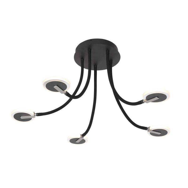 Steinhauer Turound Deckenleuchte Klarglas schwarz LED von Steinhauer Lighting