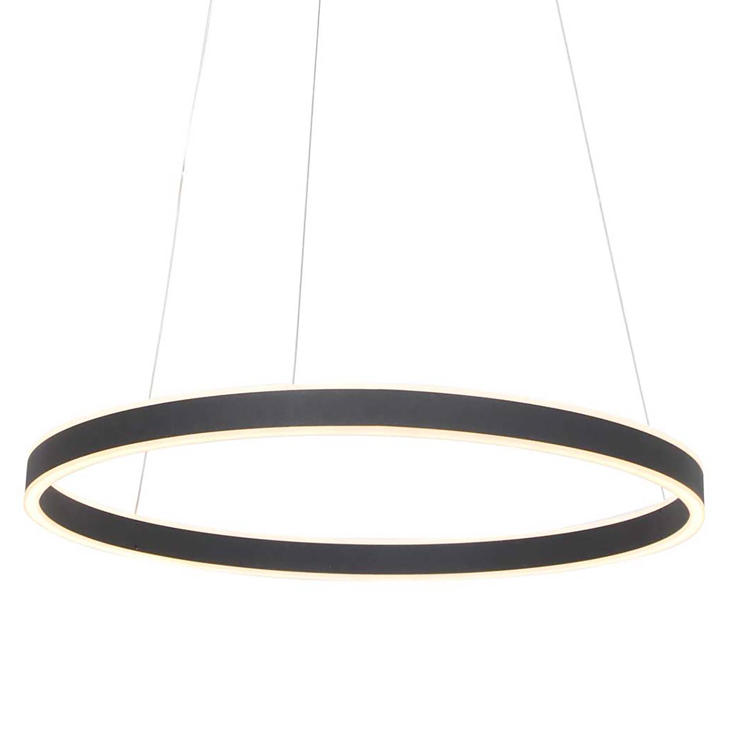 LED-Pendelleuchte Ringlux 2-flammig von Steinhauer