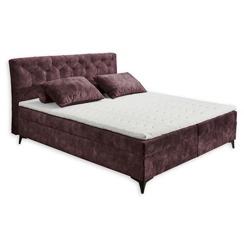 MIAMI 1 Boxbett 160x200, Aubergine - Bequemes Doppelbett mit hochwertigem 4-Gang-Bonell-Federkern & Komfortschaum Topper - 162 x 109 x 210 cm (B/H/T) von Stella Trading