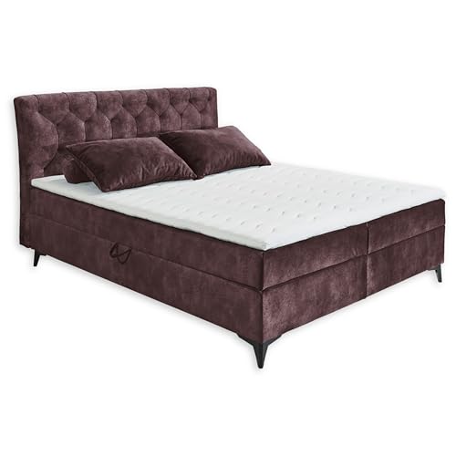 MIAMI 1 Boxbett 180x200, Aubergine - Bequemes Doppelbett mit Bettkasten & Komfortschaum Topper - 185 x 115 x 224 cm (B/H/T) von Stella Trading