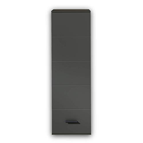 Stella Trading MEDIANA Hängeelement in Graphit matt - Moderner Hängeschrank mit viel Stauraum für Ihr Wohnzimmer - 40 x 125 x 36 cm (B/H/T) von Stella Trading