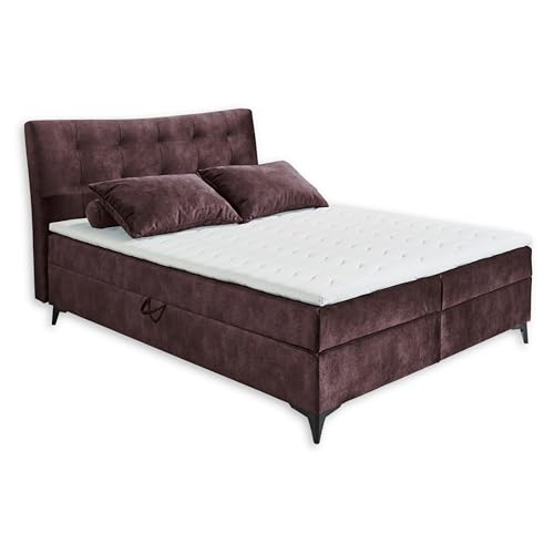 Stella Trading Melrose 1 Boxbett 160x200 in Aubergine - Bequemes Doppelbett mit Bettkasten & Komfortschaum Topper - 162 x 109 x 210 cm (B/H/T) von Stella Trading