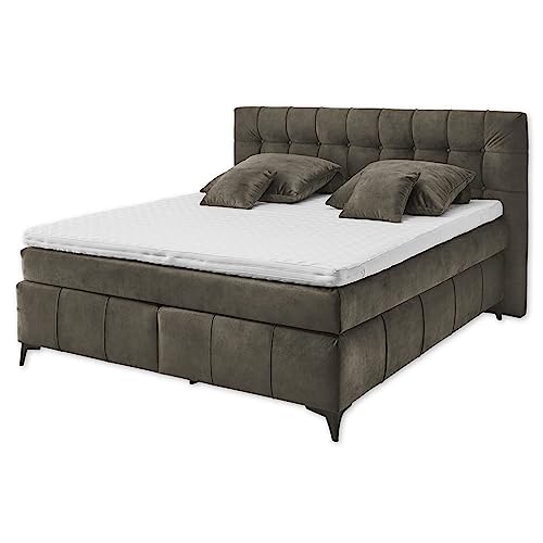 Stella Trading OREGON 8 Boxspringbett 180x200, Espresso - Bequemes Doppelbett mit 7-Zonen Federkern Wendematratze & Kaltschaum Topper mit Klimaband - 200 x 121 x 210 cm (B/H/T) von Stella Trading