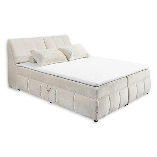 Stella Trading Valencia 5 Boxbett 160x200 in Creme - Bequemes Doppelbett mit Bettkasten & Kaltschaum Topper - 163 x 105 x 240 cm (B/H/T) von Stella Trading