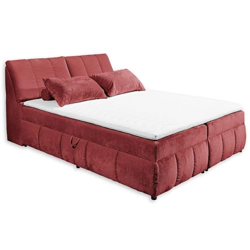 VALENCIA 5 Boxbett 180x200 in Chianti - Bequemes Doppelbett mit Bettkasten & Kaltschaum Topper - 183 x 105 x 240 cm (B/H/T) von Stella Trading