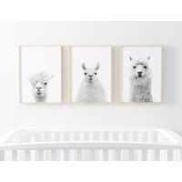 Lama Drucke 3Er Set , Boho Kinderzimmer Wandkunst Alpaka Druck Tier Galerie Drucke-S104 von StellaPosterPrint