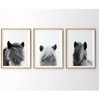 Pferd Drucke 3Er Set , Islandpferd Druck Bauernhaus Rustikaler Pferde Wandkunst Wandkunst, Galerie Drucke-S103 von StellaPosterPrint