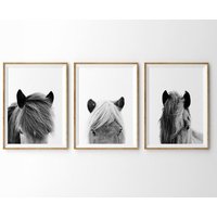 Pferd Drucke 3Er Set , Islandpferd Druck Bauernhaus Rustikaler Pferde Wandkunst Wandkunst, Galerie Drucke-S103 Pferd Drucke 3Er Set , Islandpferd Druck Bauernhaus Rustikaler Pferde Wandkunst Wandkunst, Galerie Drucke-S103 von StellaPosterPrint