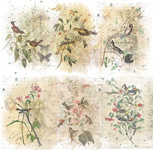 Birds in Branches Overlay Reispapier, 20,32 x 26,67 cm – 6 einzigartige bedruckte Maulbeerpapier-Bilder, 30 g/m², sichtbare Fasern für Decoupage-Bastelarbeiten, gemischte Medien, Collagekunst von Stencil Company