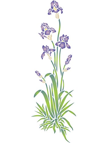 Iris Schablone – 16,5 x 52 cm – wiederverwendbare Flora-Wandschablone Iris Schablone – 16,5 x 52 cm – wiederverwendbare Flora-Wandschablone von Craft Kreatively