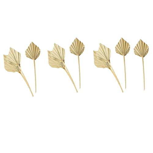 Steowsey 10 StüCk Boho Getrocknete Palmspeere NatüRliche Getrocknete Palm FäCher Getrocknete Palm BläTter Getrocknetes Palm Blatt Palm FäCher Blatt mit Stiel von Steowsey