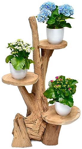 Stephans Möbelbörse Teak Blumenständer mit 3 Ablagen Blumenpodest Pflanzentreppe Blumenregal Ständer Blumenhocker Massiv Holz Podest Regal 60cm von Stephans Möbelbörse