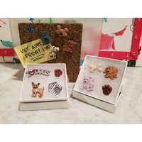 "Handgefertigte "Fun Tacks" - Thumb Tacks Doggies Hunde Haustier Hundehaus Pfote Knochen Chihuahua Labrador Dalmatiner Yorkie." von StephieStyleStudios