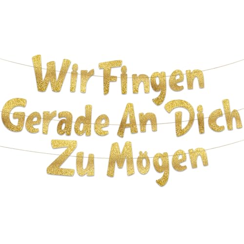 Goldenes Glitzer-Banner mit Aufschrift "Wir Fingen Gerade An Dich Zu Mogen" – Going Away Party – Umzugsparty – New Job – Will Miss You – Lustiges Partyzubehör für den Ruhestand, Geschenke und Goldenes Glitzer-Banner mit Aufschrift "Wir Fingen Gerade An Dich Zu Mogen" – Going Away Party – Umzugsparty – New Job – Will Miss You – Lustiges Partyzubehör für den Ruhestand, Geschenke und von Sterling James Co.