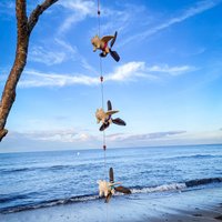 3 Pigs Wind Chime With Colorful Swimming Trunks & Propellers von Sternschnuppe1985