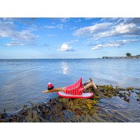 Surfboard Wooden Duck With Hat in Red & White Striped Swimsuit Retro Style 25 cm Surfboard Wooden Duck With Hat in Red & White Striped Swimsuit Retro Style 25 cm von Sternschnuppe1985