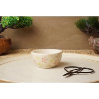 Handgefertigte Cremefarbene Mame Bonsaischale. G1690 Handgefertigte Cremefarbene Mame Bonsaischale. G1690 von StevaCeramics