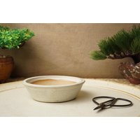 Handgefertigte Cream Mame Bonsaischale. 10 cm Durchmesser, 3 Hoch. G2485.2 Handgefertigte Cream Mame Bonsaischale. 10 cm Durchmesser, 3 Hoch. G2485.2 von StevaCeramics
