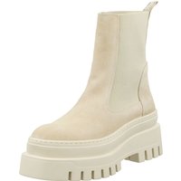 STEVE MADDEN Stiefelette "STEVE MADDEN Stiefelette Leder/Textil" von Steve Madden