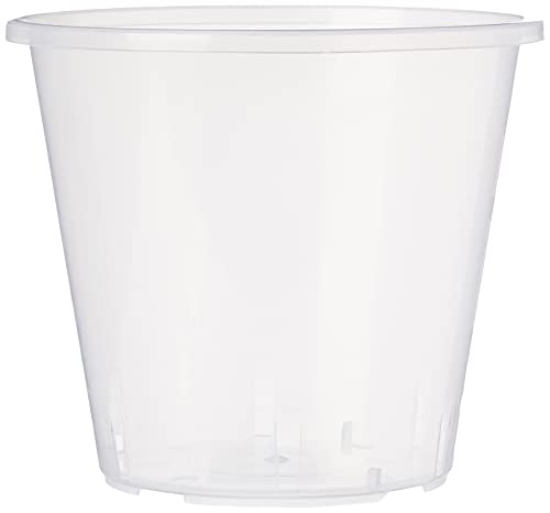 Stewart Plastics, Blumentopf für Orchideen, 11 cm, Transparent von Stewart