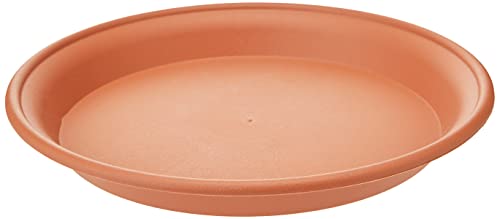 Stewart 2138034 Mehrzweck-Untersetzer, 25 cm, Orange/Terrakotta von Altuna