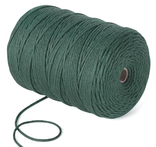 Stiverse Natur Makramee Garn 3mm,300m Makramee-Garn for Taschen, DIY Handwerk, Weben Dekoration, Hängepflanze Pflanze Aufhänger Wandbehänge(grün) von StiVerse