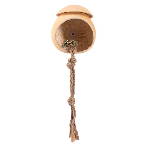 Springspinnen Terrarium - Handgefertigtes Holzhaus Für Springspinnen Als Echtes Versteck | Holz Reptilien Zubehör in Kürbisform Terrarium Dekoration für Grillen Geckos und Eidechsen Springspinnen Terrarium - Handgefertigtes Holzhaus Für Springspinnen Als Echtes Versteck | Holz Reptilien Zubehör in Kürbisform Terrarium Dekoration für Grillen Geckos und Eidechsen von Stibtmr