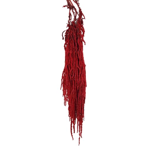 Getrockneter Blumenstrauß, 24-31,5 hängende getrocknete Amaranthus, lebensechte natürliche Rebe getrocknete Blumen, Wiederverwendbare getrocknete Pflanzen Dunkelrot von Stibzeup