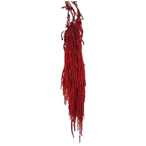 Getrockneter Blumenstrauß, 24-31,5 hängende getrocknete Amaranthus, lebensechte natürliche Rebe getrocknete Blumen, Wiederverwendbare getrocknete Pflanzen für Hochzeitsstrauß Wandfeier, dunkelrot von Stibzeup