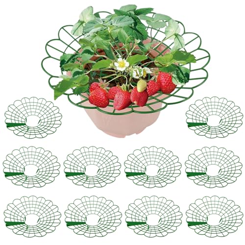 Stibzeup Erdbeerstütze 10pcs Erdbeerkäfig mit 3 robusten Beinen wetterfestem Plastikanlagenunterstützung für die saubere Verhinderung verrottet ＆ Luftzirkulation fördern von Stibzeup