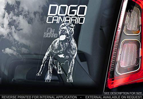 Argentinischen Canario - Auto Sticker - Hund Schild Fenster, Bumper Aufkleber Geschenk - V001 von Sticker International
