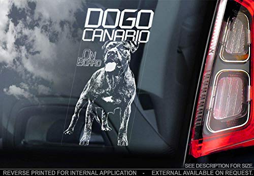 Argentinischen Canario - Auto Sticker - Hund Schild Fenster, Bumper Aufkleber Geschenk - V002 von Sticker International