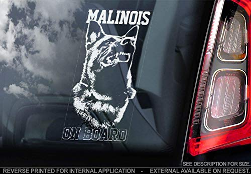 Belgische Malinois - Auto Sticker - Hund Zeichen Fenster, Stoßstangen Aufkleber Geschenk - V003 von Sticker International