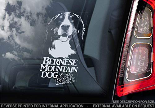 Berner Sennenhund - Auto Sticker - Hund Zeichen Fenster, Stoßstangen Aufkleber Geschenk - V002 von Sticker International