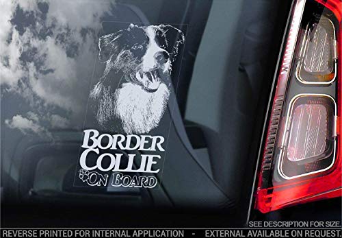 Border Collie - Auto Sticker - Hund Schild Fenster, Bumper Aufkleber Geschenk - V007F von Sticker International