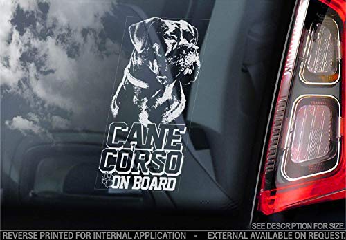 Cane Corso - Auto Sticker - Hund Schild Fenster, Bumper Aufkleber Geschenk - V006 von Sticker International