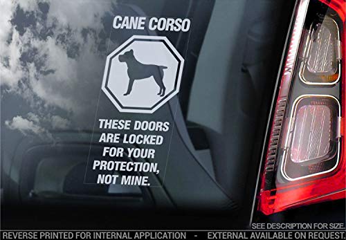Cane Corso - Auto Sticker - Hund Schild Fenster, Bumper Aufkleber Geschenk - V007 - Weiß/Klar - Interne Rückwärtsgang Aufdruck, 220x100mm von Sticker International