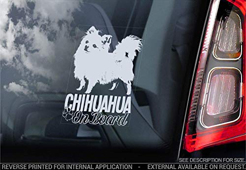 Chihuahua - Auto Sticker - Hund Schild Fenster, Bumper Aufkleber Geschenk - V007 - Weiß/Klar - Externe Außerhalb Aufdruck, 150x100mm von Sticker International