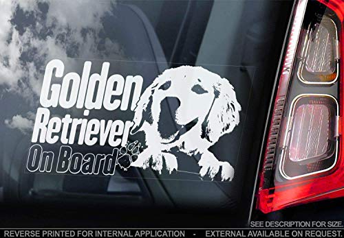 Golden Retriever - Auto Sticker - Hund Zeichen Fenster, Stoßstangen Aufkleber Geschenk - V005 - Weiß/Klar - Externe Außerhalb Aufdruck, 185x100mm von Sticker International