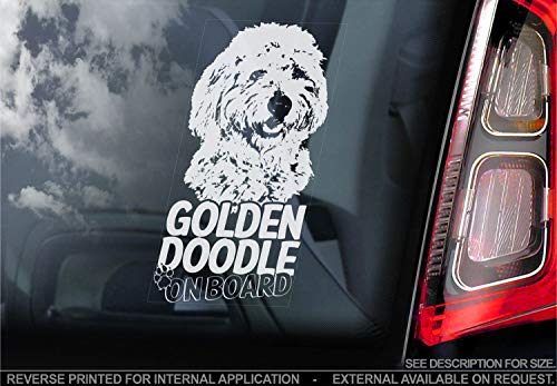 Goldendoodle - Auto Sticker - Hund Schild Fenster, Bumper Aufkleber Geschenk - V001 - Weiß/Klar - Interne Rückwärtsgang Aufdruck, 210x100mm von Sticker International