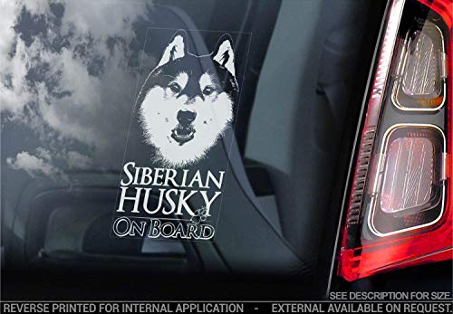 Husky - Auto Sticker - Sibirische Hund Zeichen Fenster, Stoßstangen Aufkleber Geschenk - V006 - Weiß/Klar - Externe Außerhalb Aufdruck, 205x100mm von Sticker International