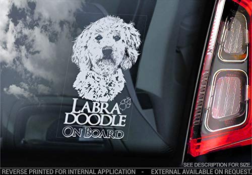 Labradoodle - Auto Sticker - Hund Schild Fenster, Bumper Aufkleber Geschenk - V001 - Weiß/Klar - Externe Außerhalb Aufdruck, 175x100mm von Sticker International
